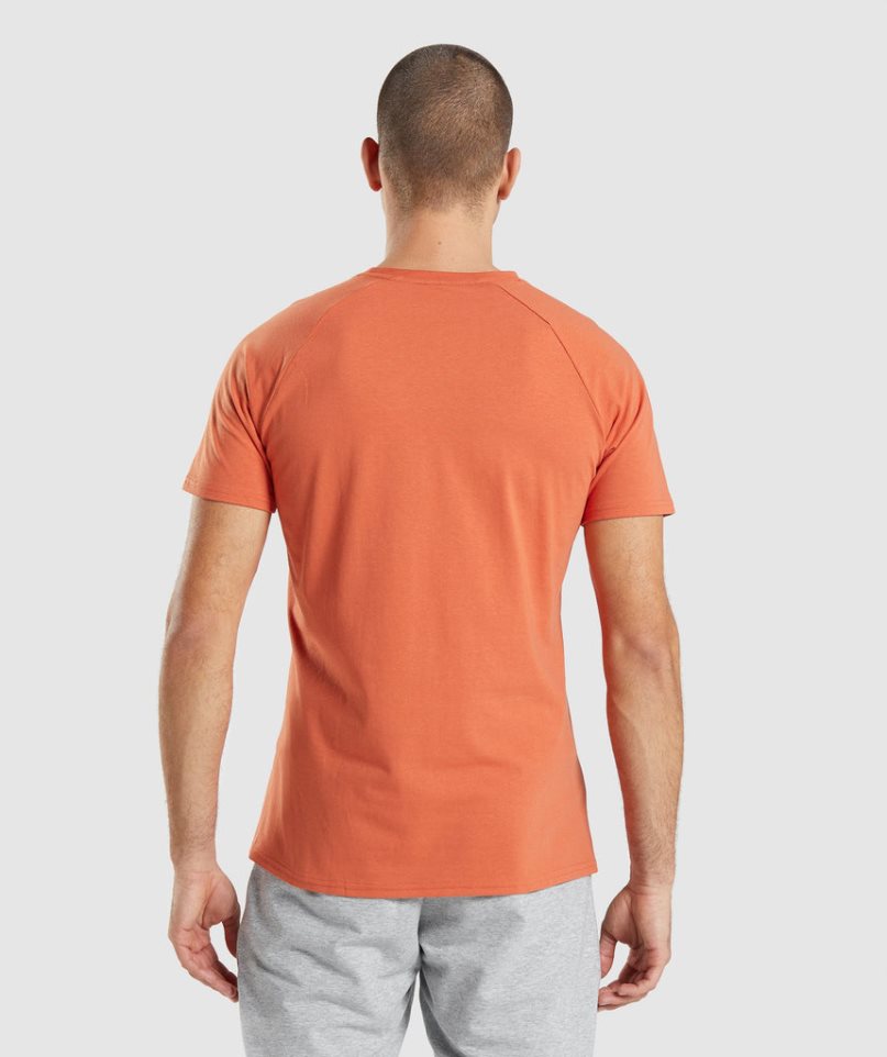 Men's Gymshark Critical T-Shirts Orange | NZ 9XOEIN